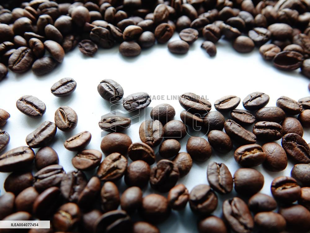 Coffee Bean Prices Rise