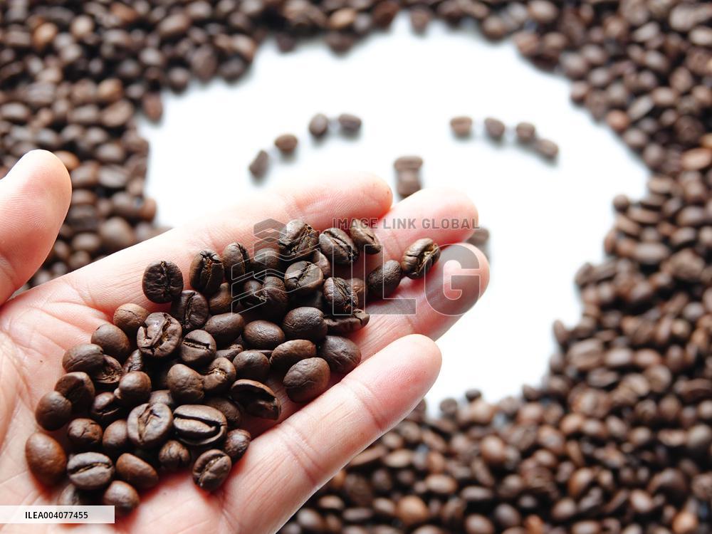 Coffee Bean Prices Rise
