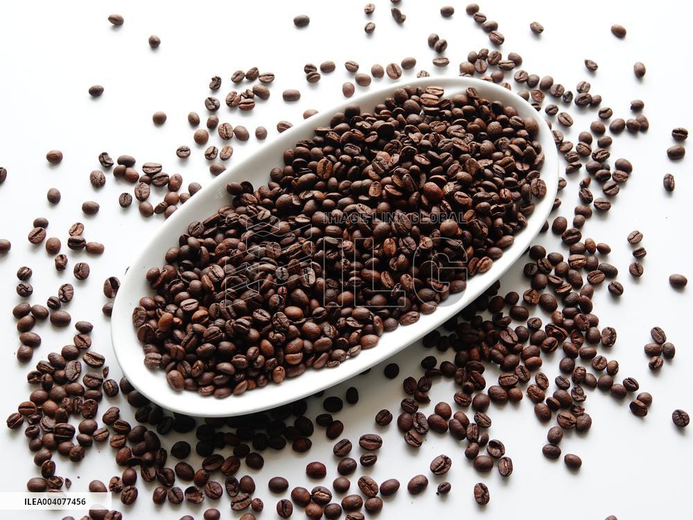 Coffee Bean Prices Rise