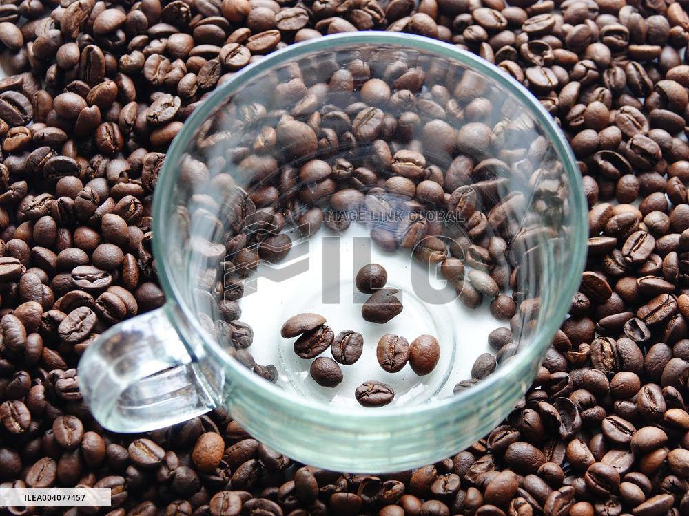 Coffee Bean Prices Rise