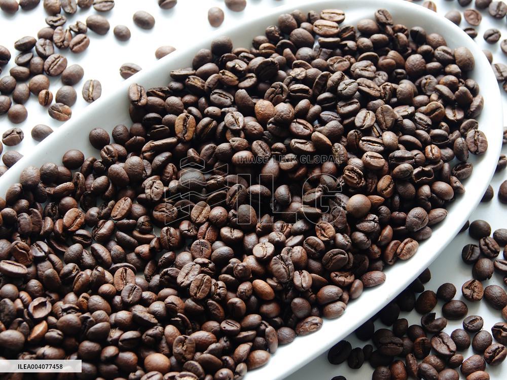 Coffee Bean Prices Rise