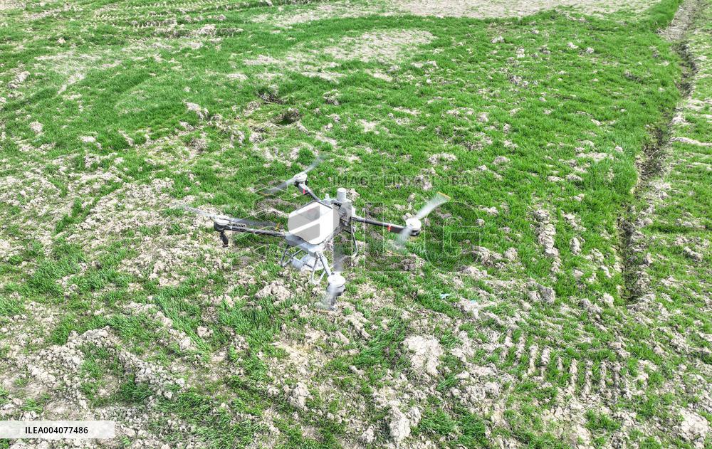 Drone Fertilization in Huzhou