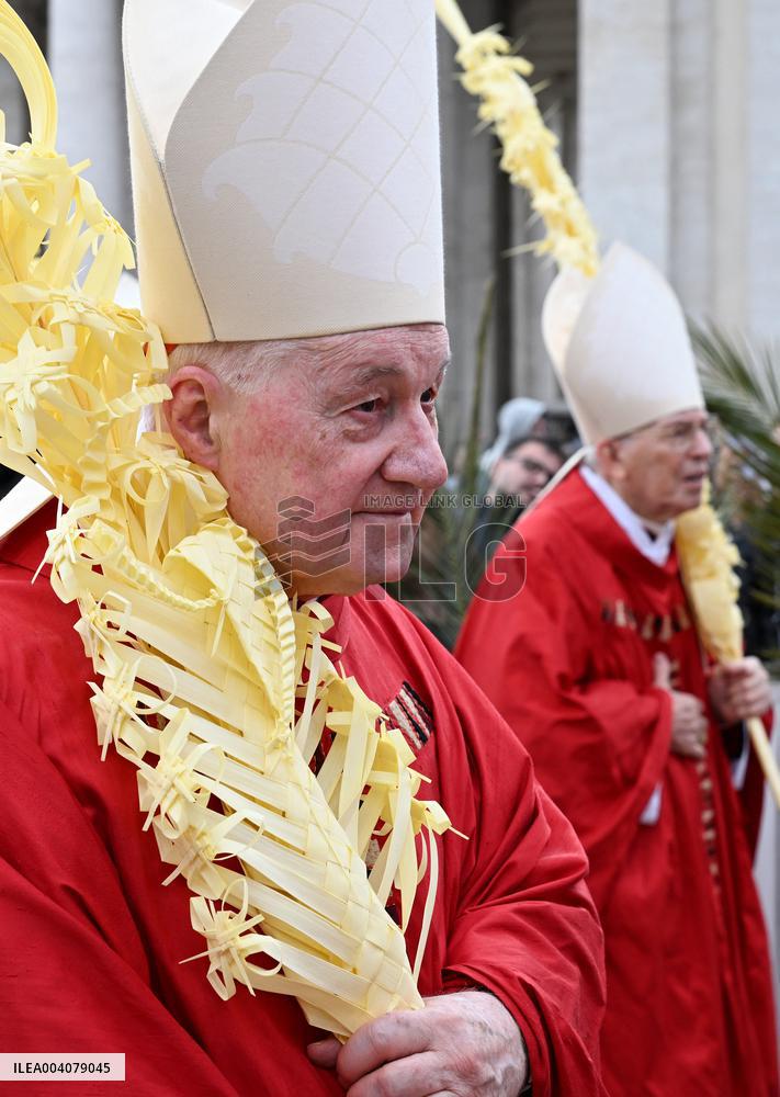The Cardinals ‘Papabile’ - Vatican