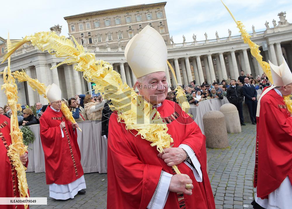 The Cardinals ‘Papabile’ - Vatican