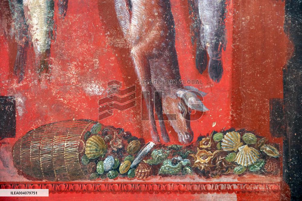 Spectacular Frescoed Villa Uncovered in Pompeii - Italy