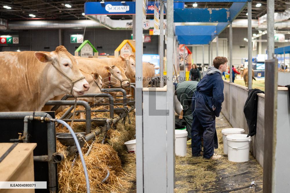 Illustration of the Agricultural Show - Paris AJ