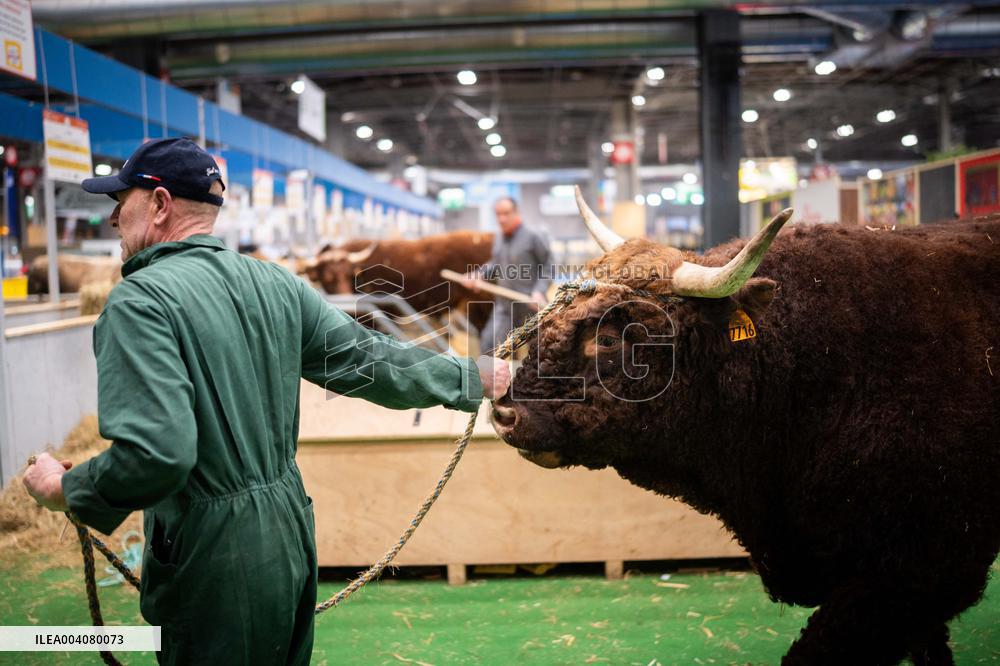 Illustration of the Agricultural Show - Paris AJ