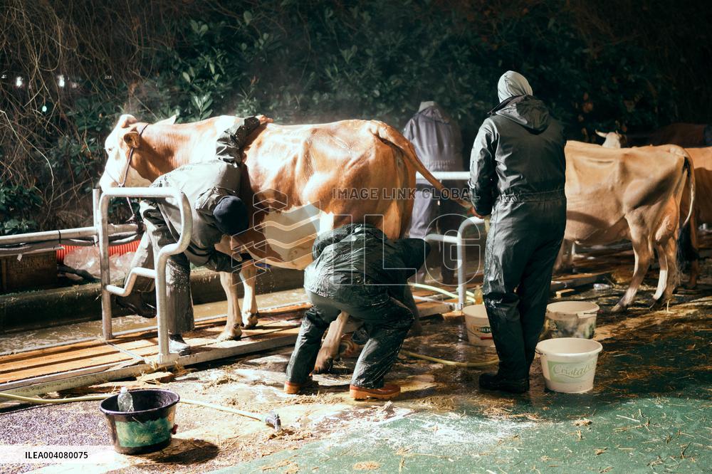 Illustration of the Agricultural Show - Paris AJ