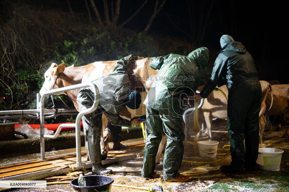 Illustration of the Agricultural Show - Paris AJ