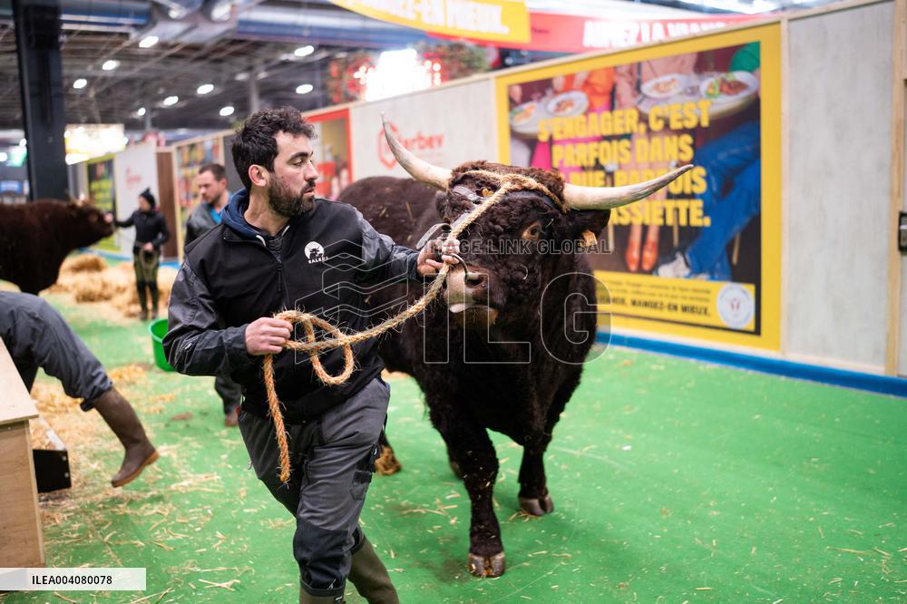 Illustration of the Agricultural Show - Paris AJ