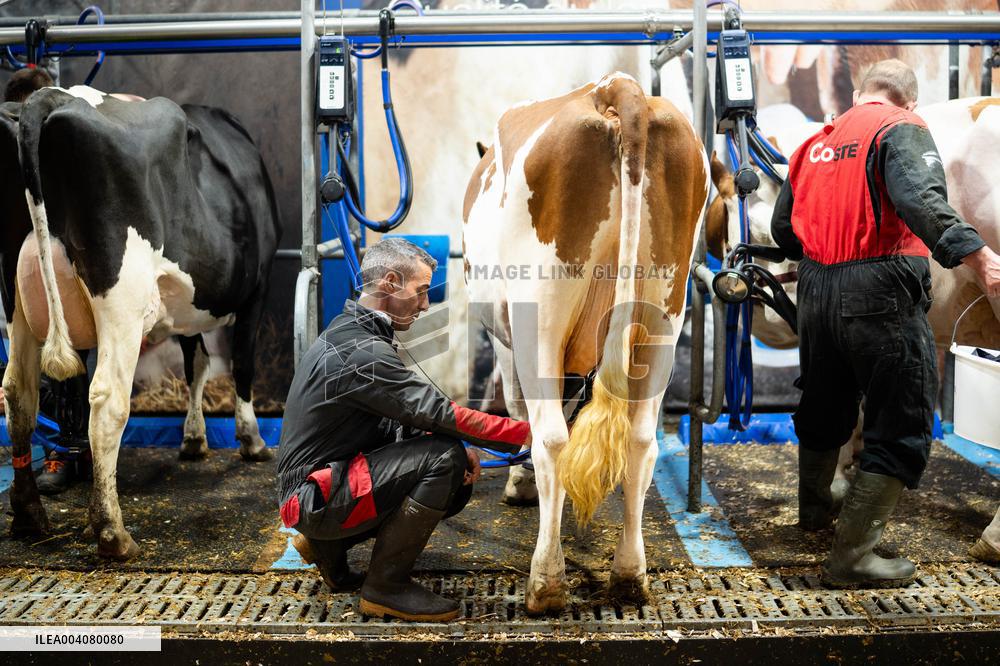 Illustration of the Agricultural Show - Paris AJ