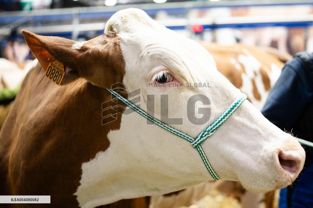 Illustration of the Agricultural Show - Paris AJ