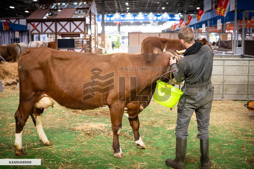 Illustration of the Agricultural Show - Paris AJ