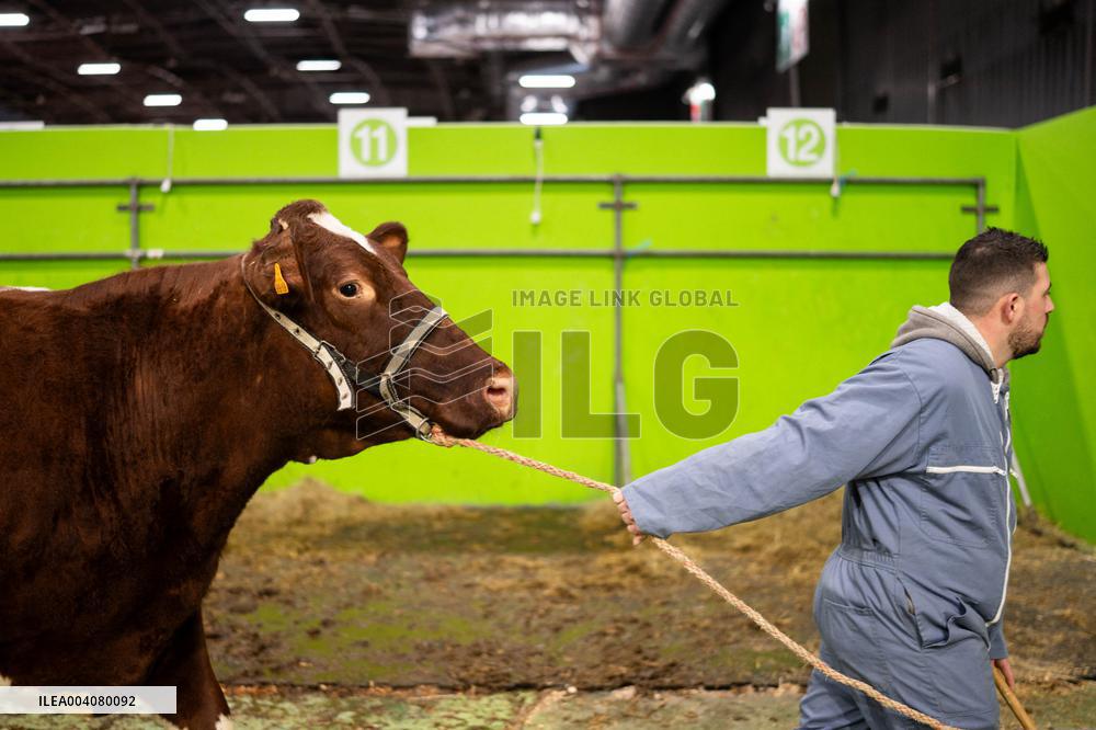 Illustration of the Agricultural Show - Paris AJ
