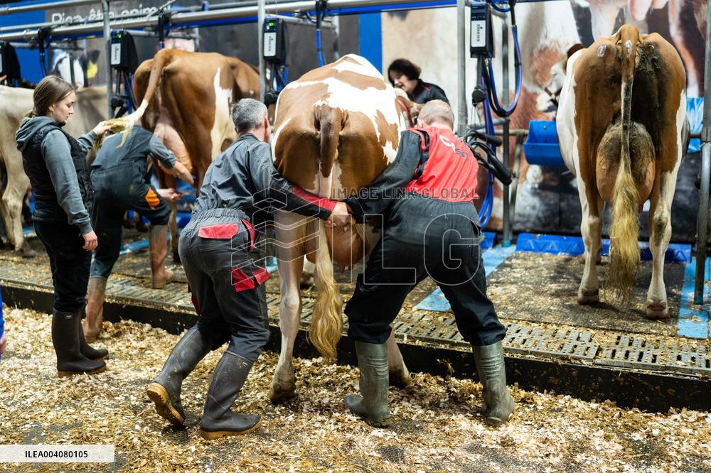 Illustration of the Agricultural Show - Paris AJ