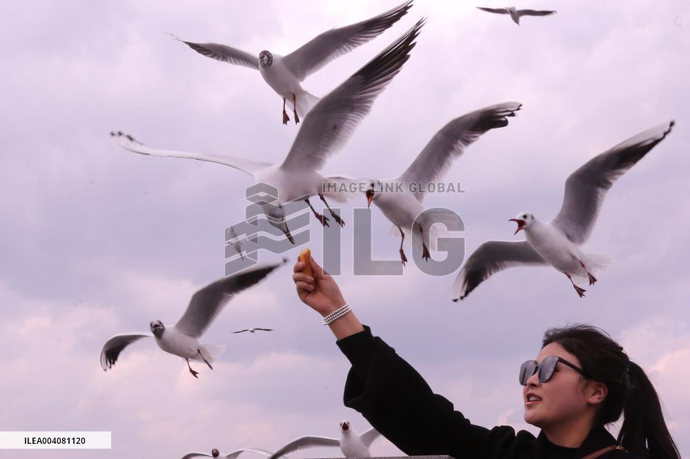 Dianchi Lake in Kunming