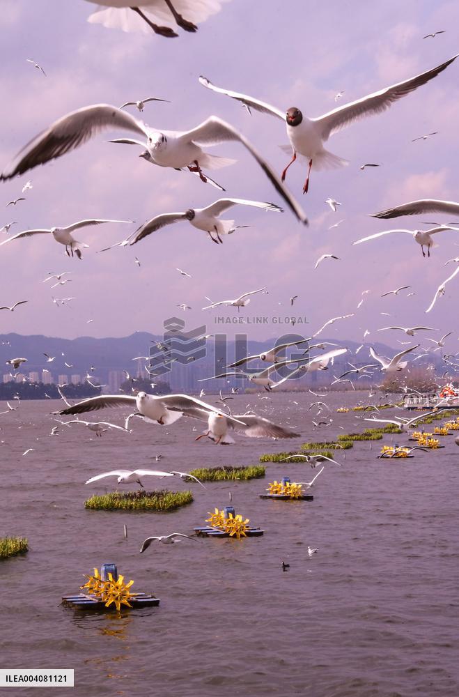 Dianchi Lake in Kunming