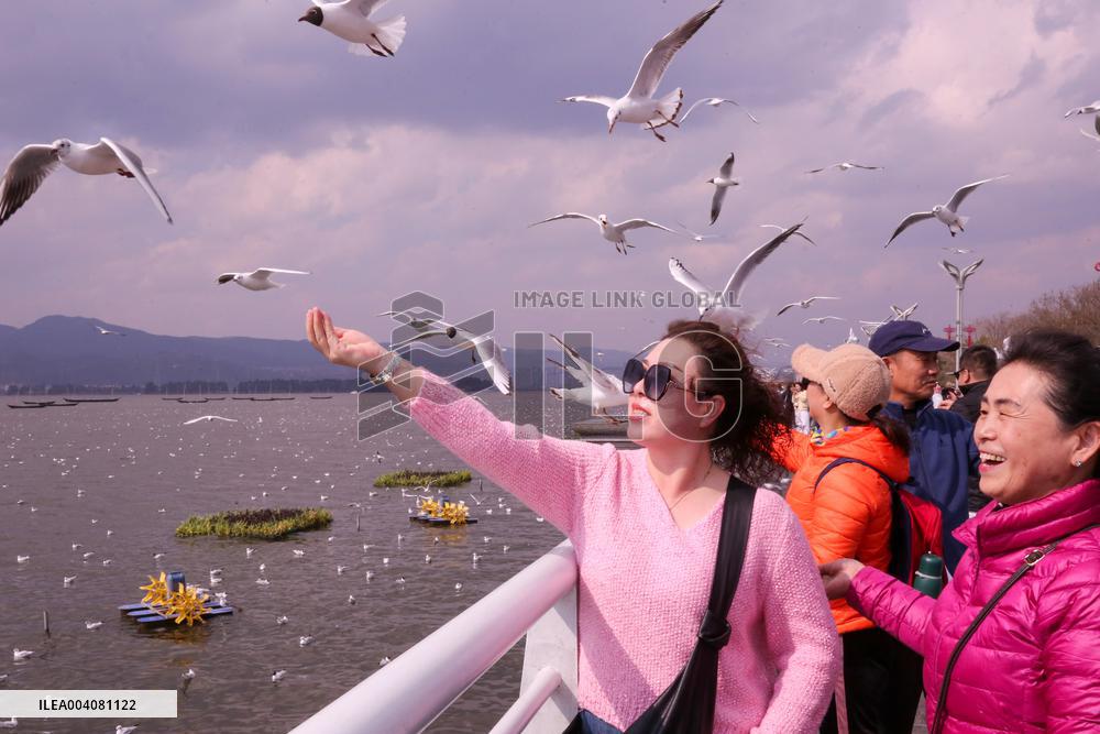 Dianchi Lake in Kunming