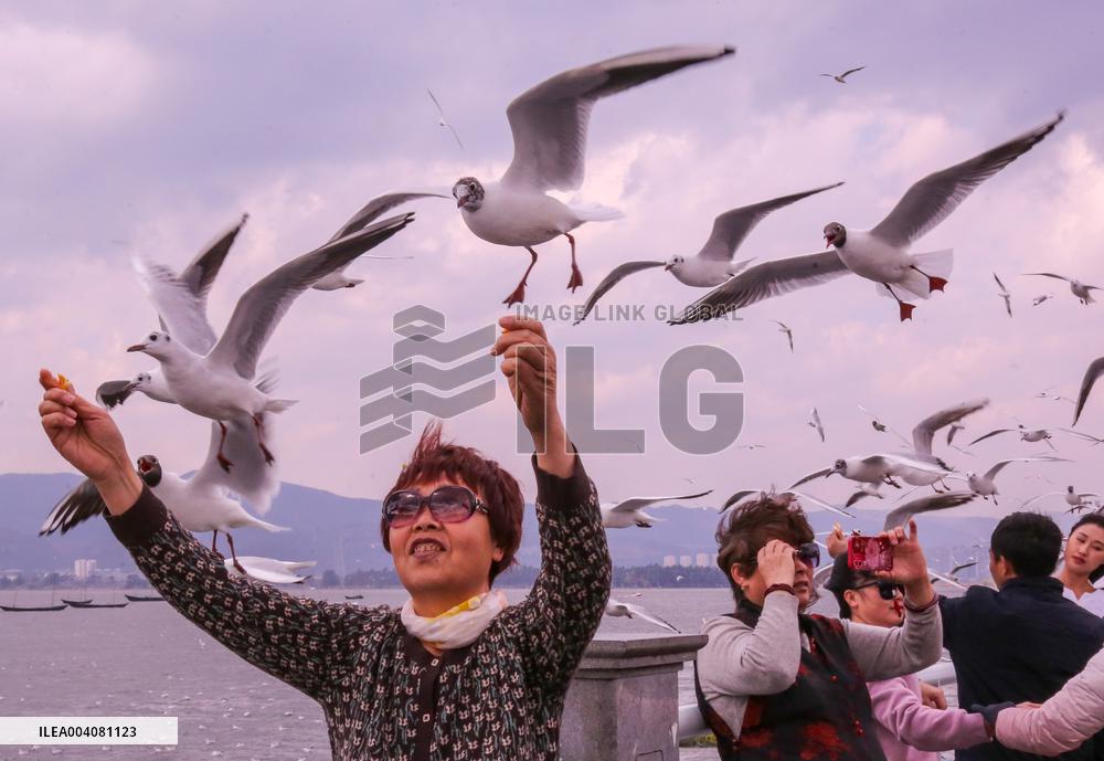 Dianchi Lake in Kunming