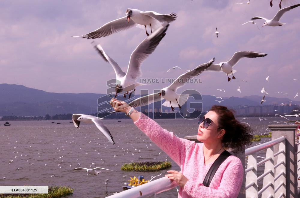 Dianchi Lake in Kunming