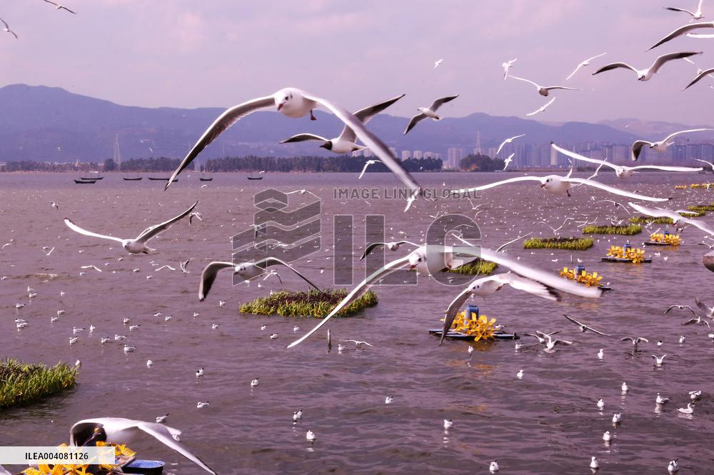 Dianchi Lake in Kunming