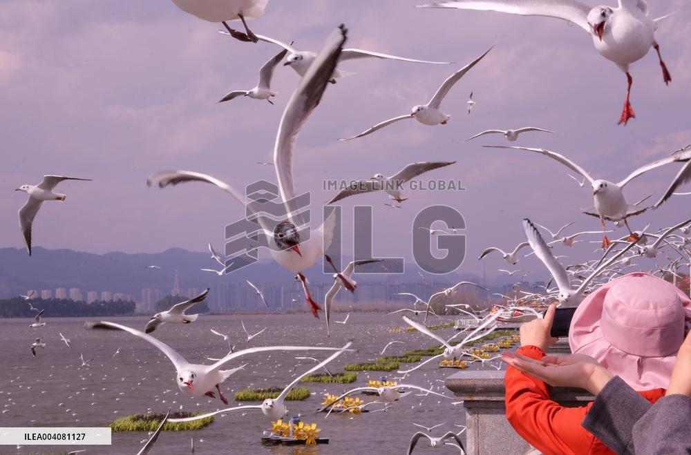 Dianchi Lake in Kunming