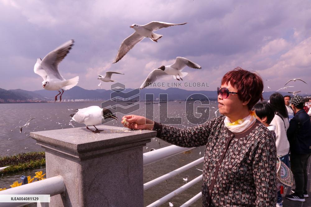 Dianchi Lake in Kunming