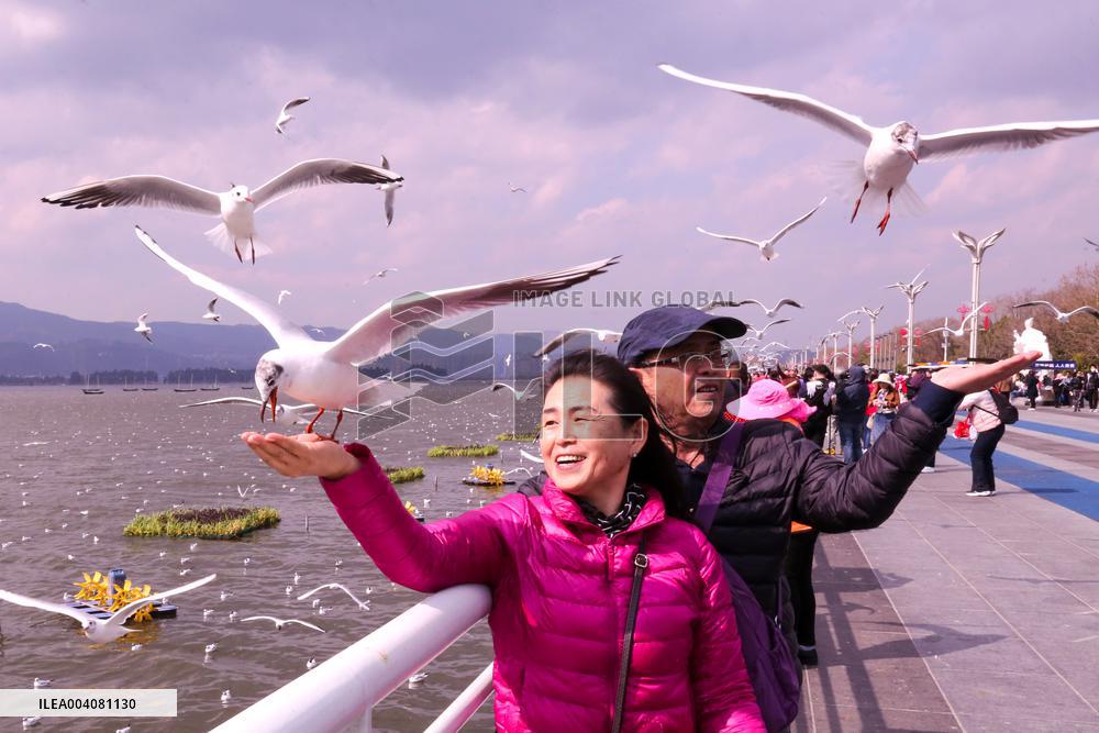 Dianchi Lake in Kunming