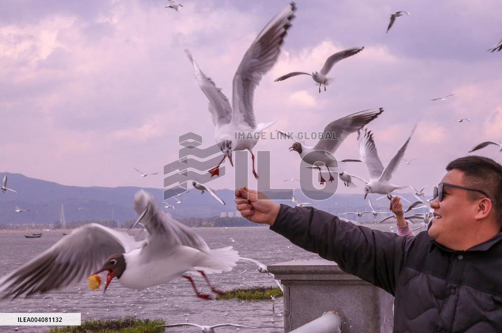 Dianchi Lake in Kunming