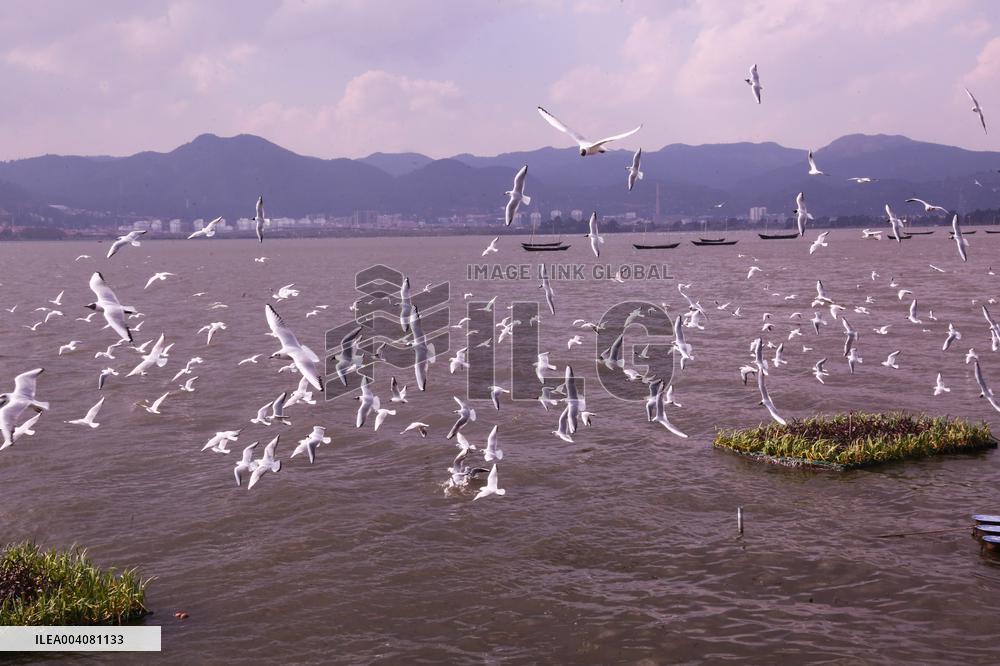 Dianchi Lake in Kunming