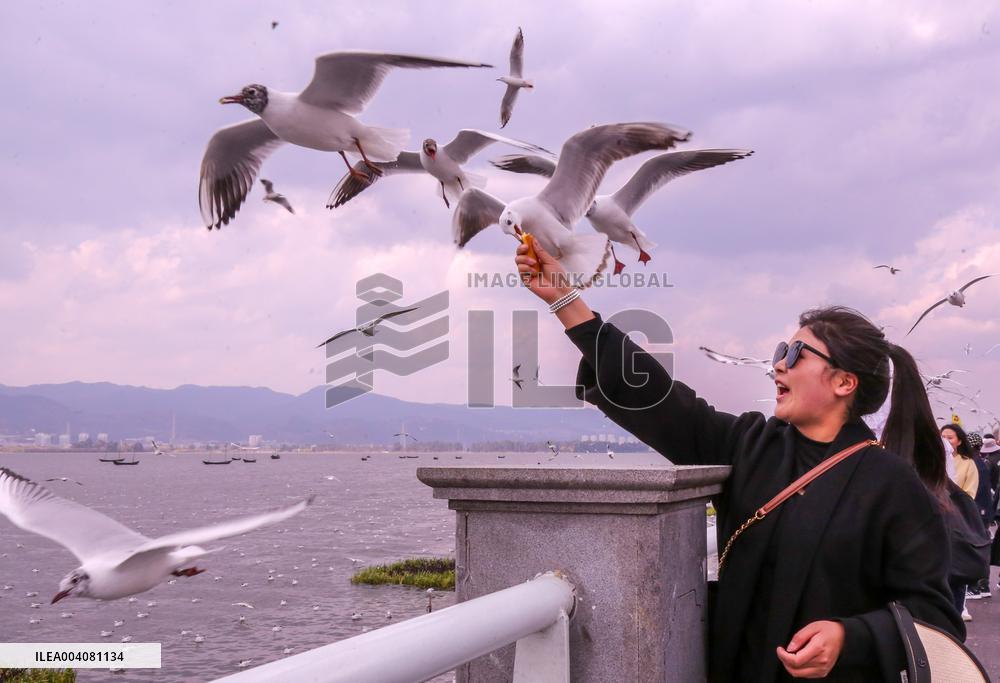 Dianchi Lake in Kunming