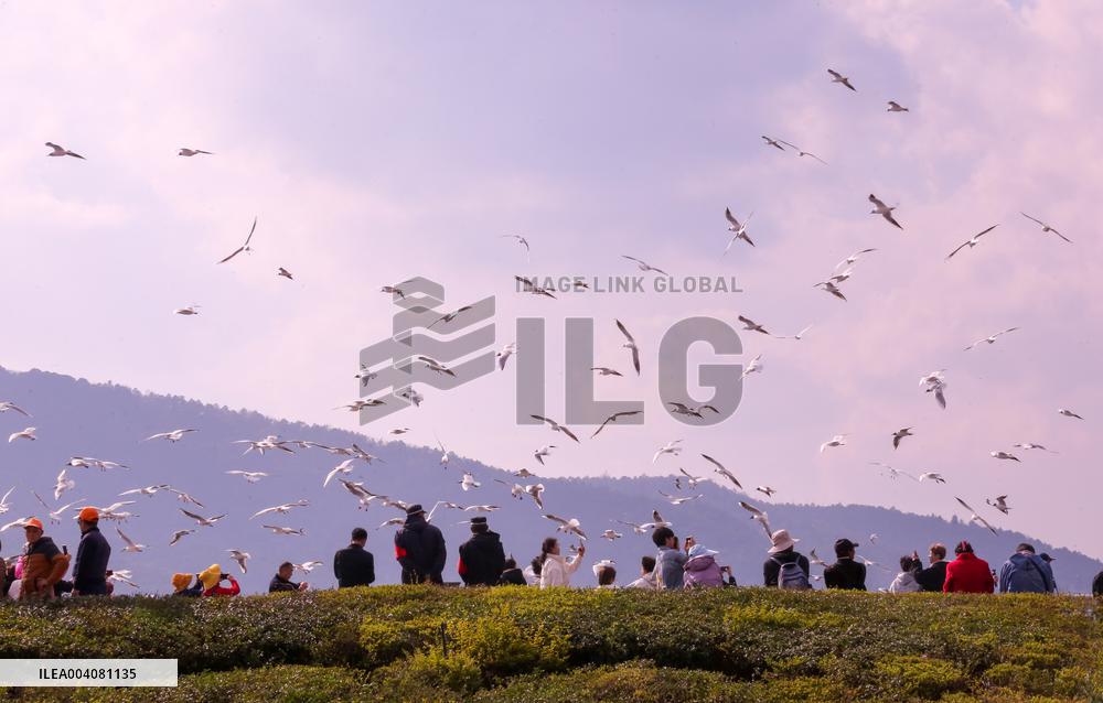 Dianchi Lake in Kunming