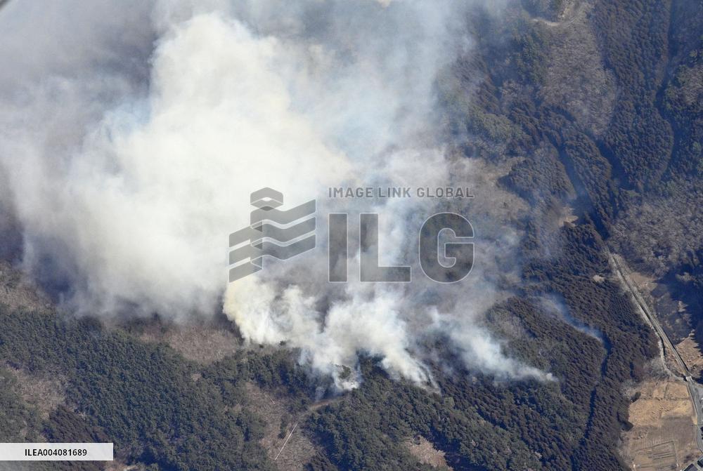 Forest fire in northeastern Japan