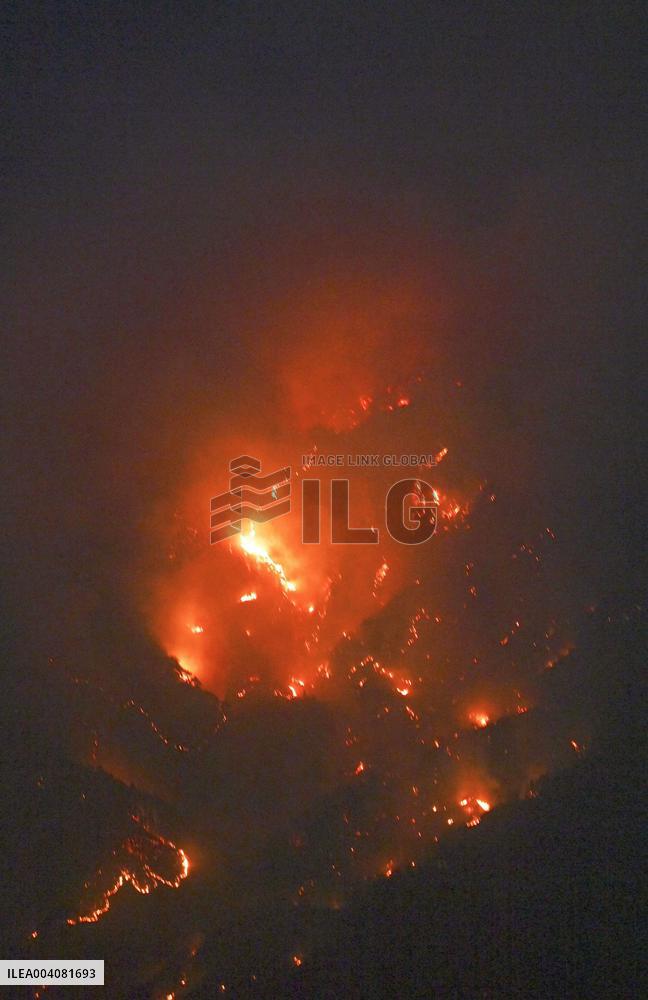 Forest fire in northeastern Japan