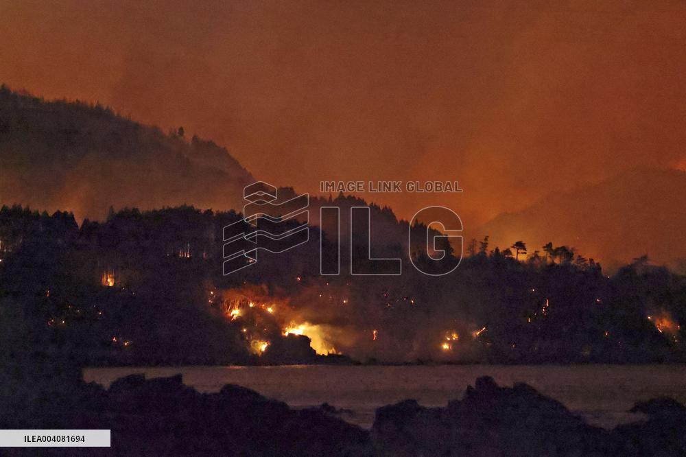 Forest fire in northeastern Japan