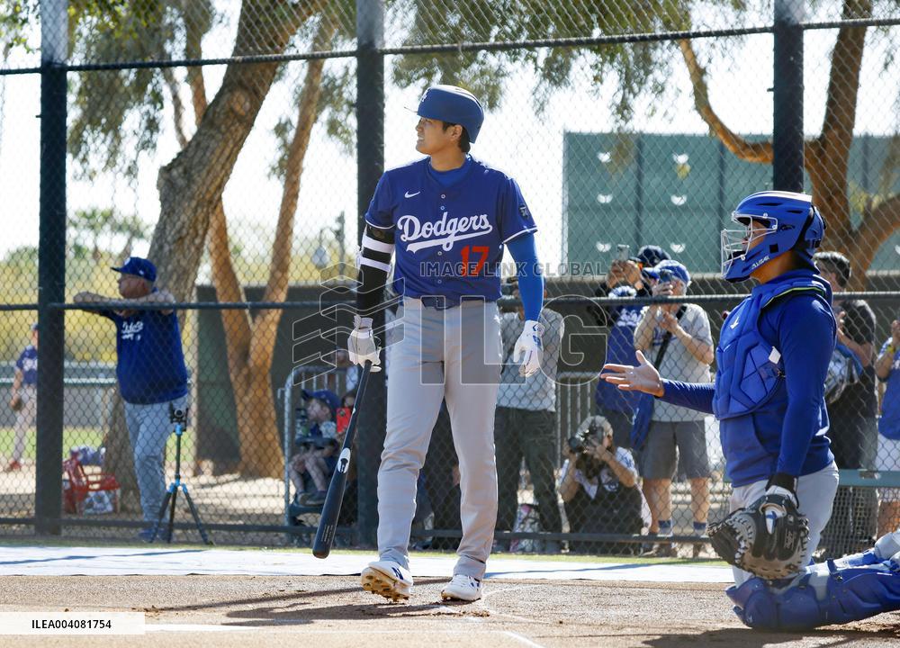 Baseball: MLB spring training