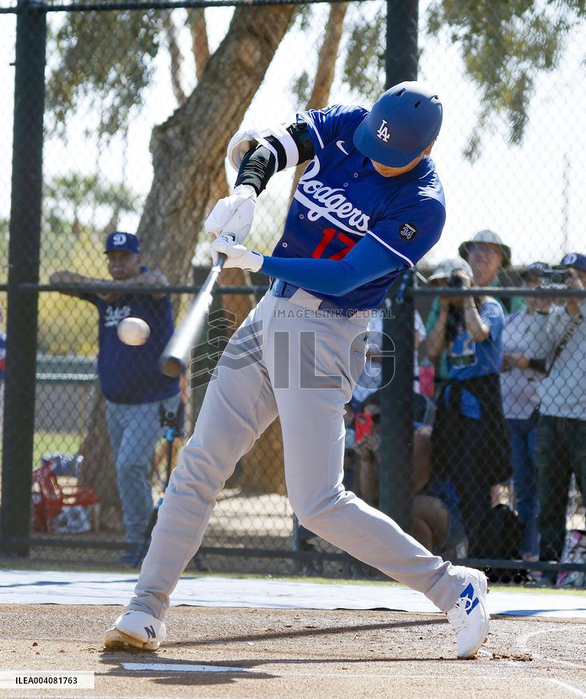 Baseball: MLB spring training