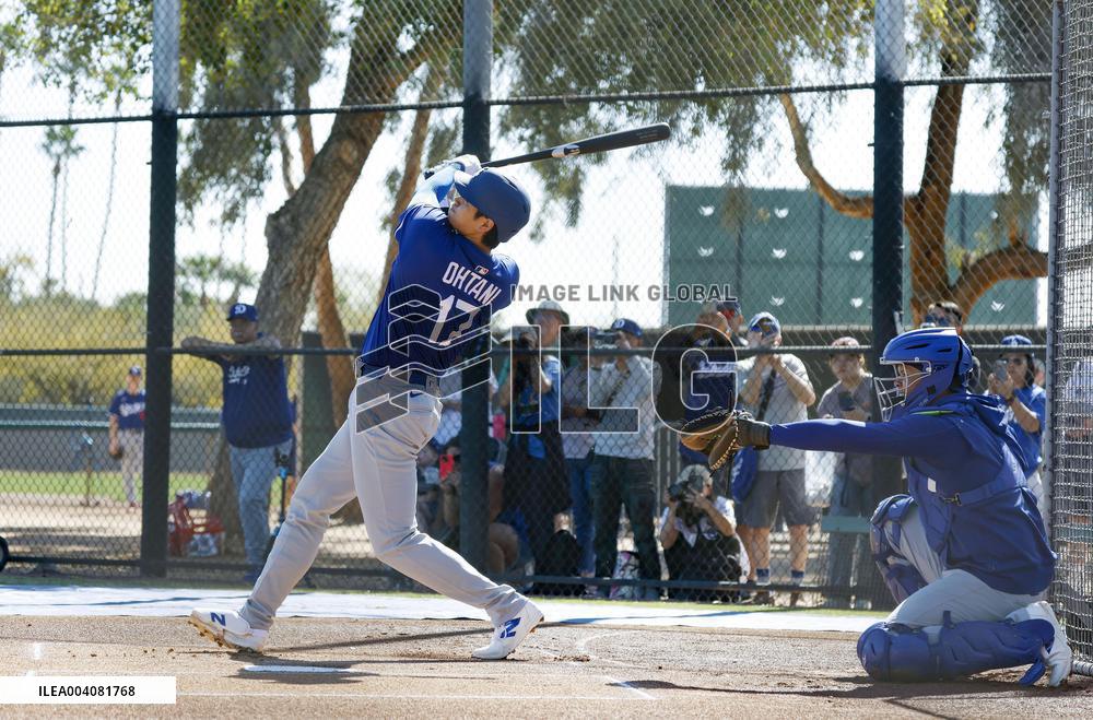Baseball: MLB spring training