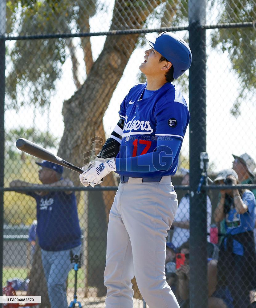 Baseball: MLB spring training