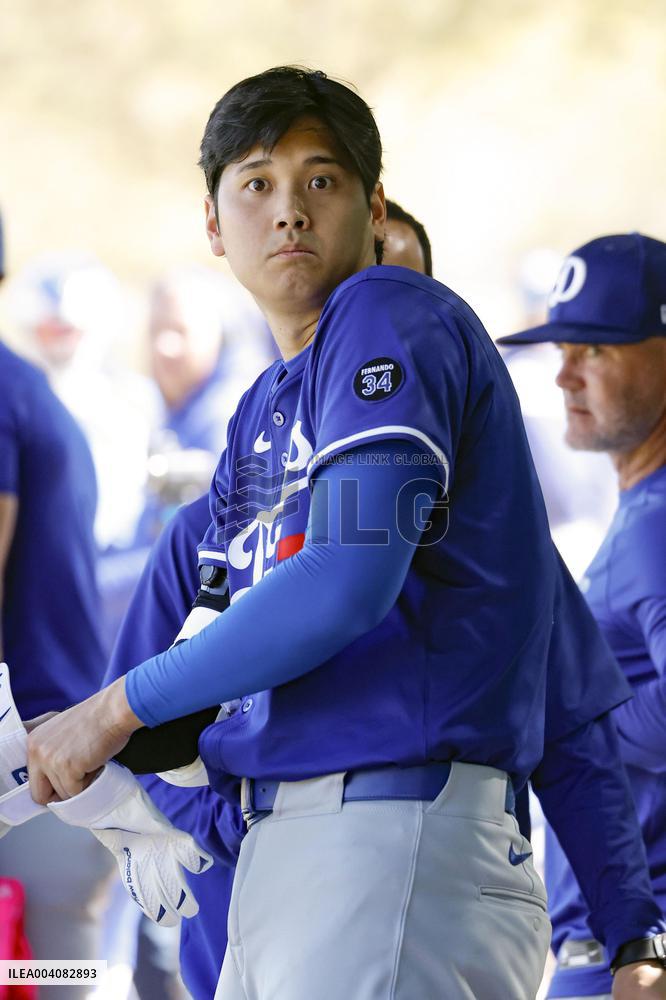 Baseball: MLB spring training