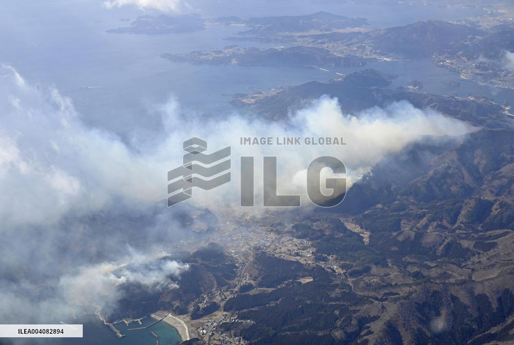 Forest fire in northeastern Japan
