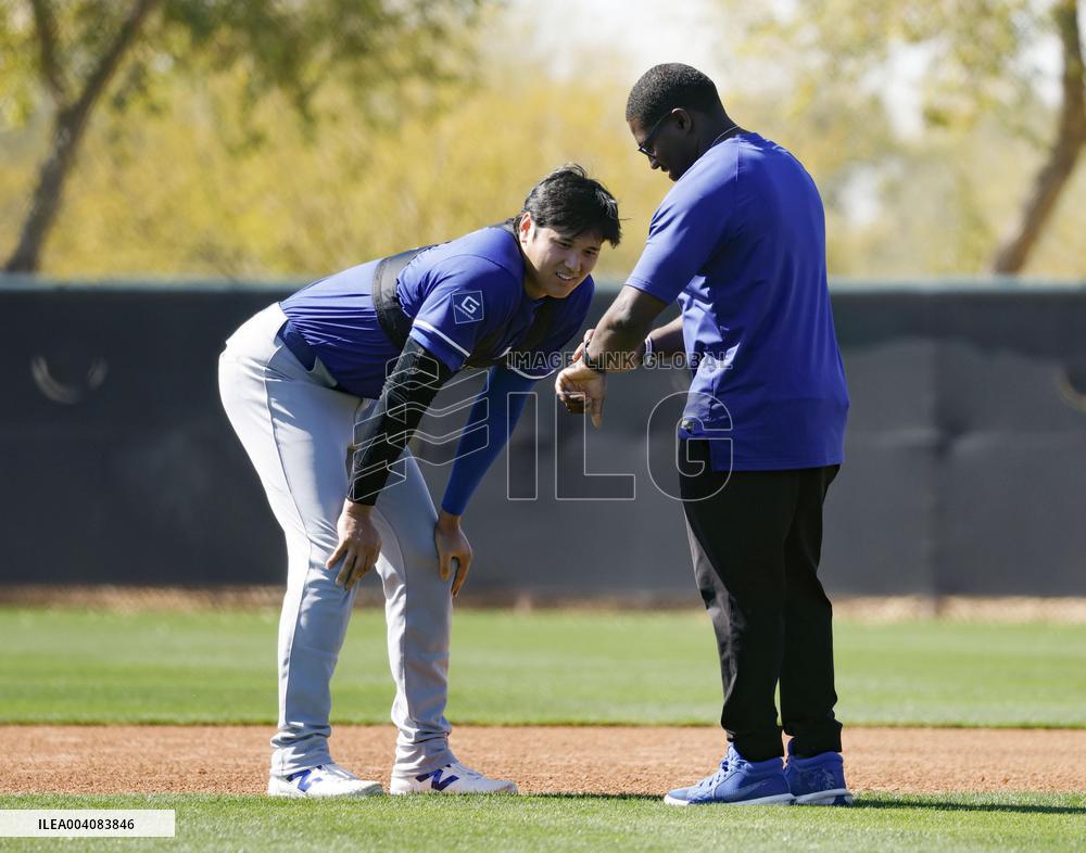 Baseball: MLB spring training