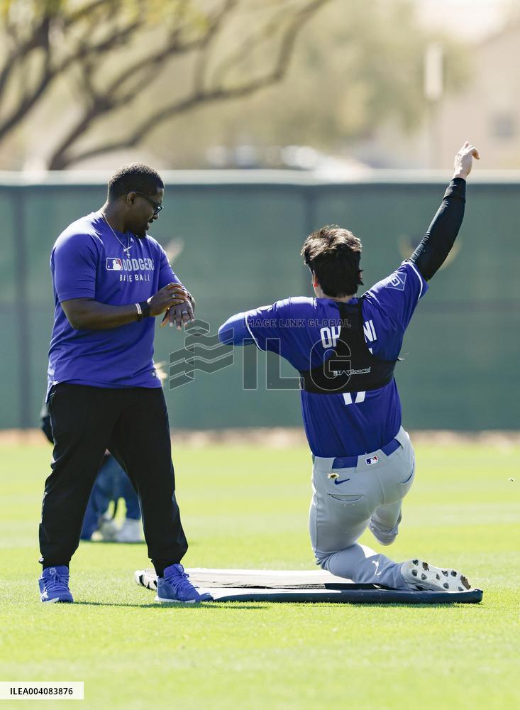 Baseball: MLB spring training