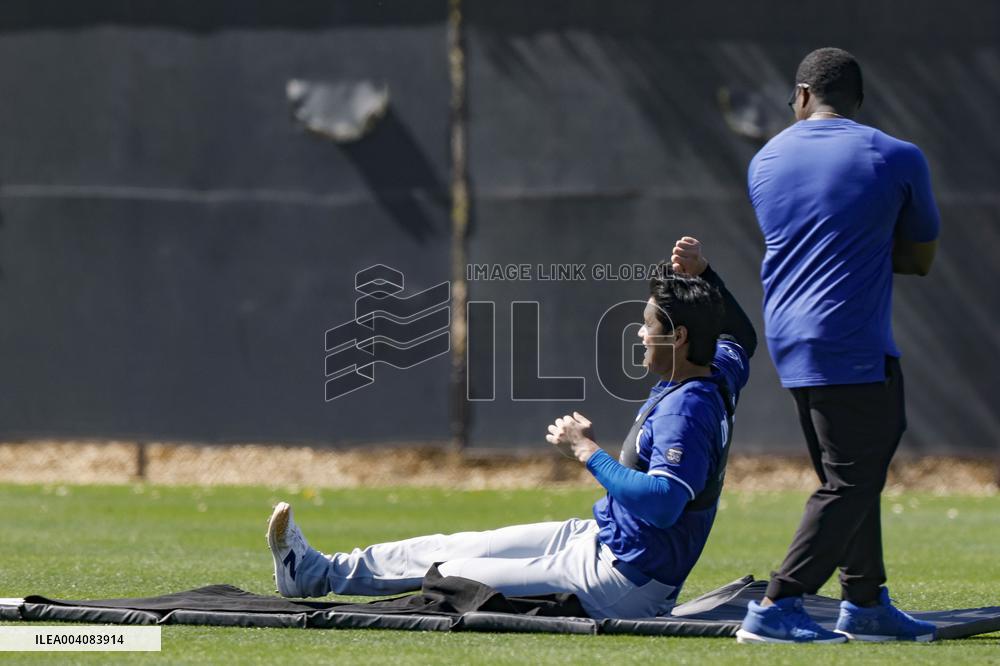 Baseball: MLB spring training