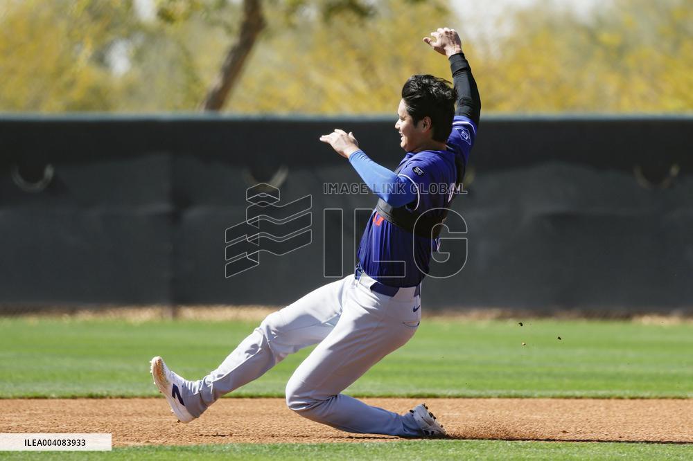 Baseball: MLB spring training