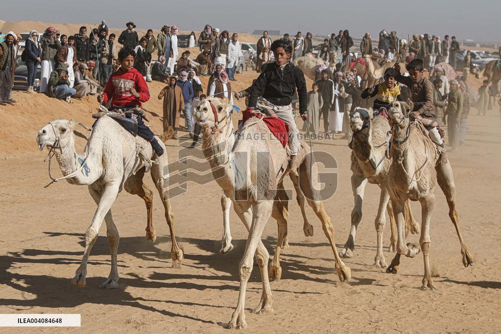 Camel Racing Festival - Egypt