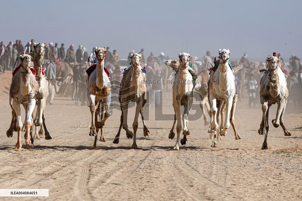 Camel Racing Festival - Egypt