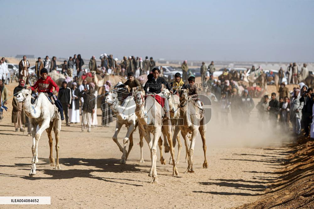 Camel Racing Festival - Egypt