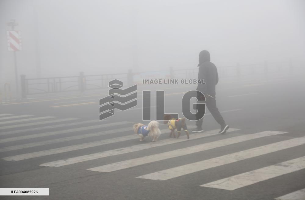 Heavy Fog Hit Lianyungang