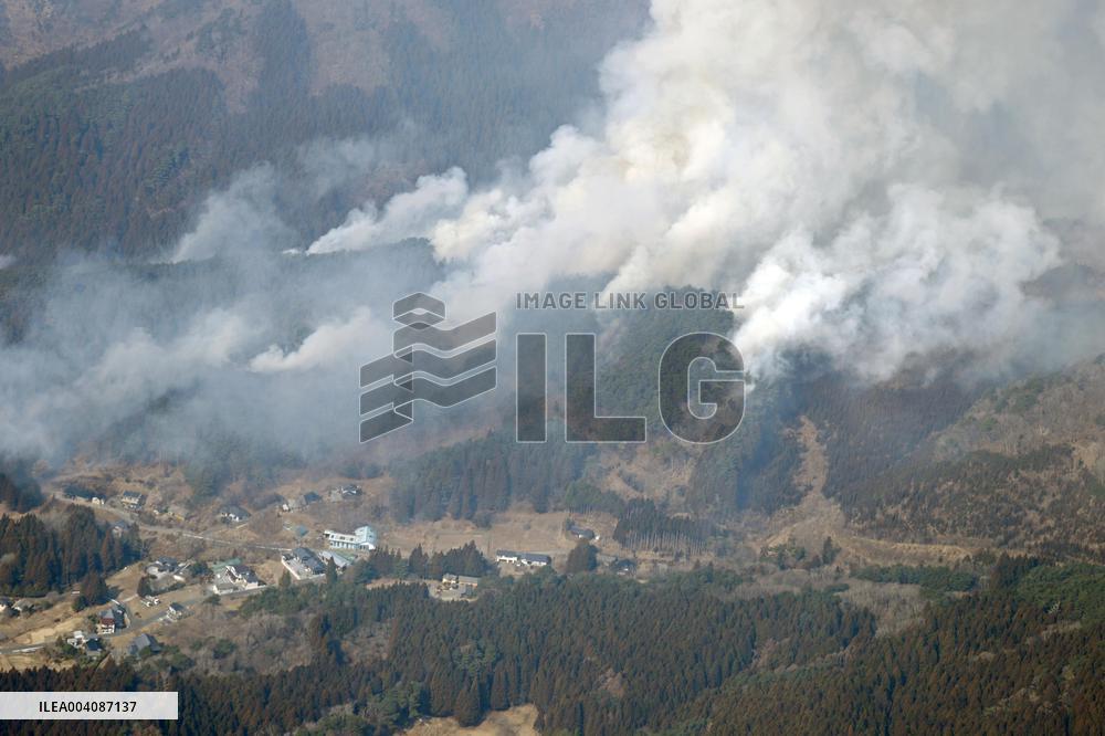 Forest fire in northeastern Japan
